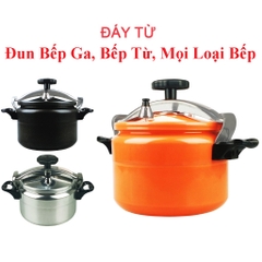 noi-ap-suat-ga-4l-fujika-phj-20cm-day-tu-dung-duoc-moi-loai-bep