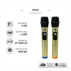 micro-bestsound-v-w003