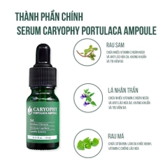 Tinh Chất Chăm Sóc Cho Da Mụn Caryophy Portulaca Ampoule