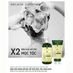 Bộ gội xả gừng detox hỗ trợ mọc tóc ngăn ngừa lão hóa da đầu Weilaiya Luxury 420ml x 200ml