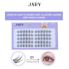 Lông mi cụm tự nhiên hộp 5 hàng Jary Cluster Lashes