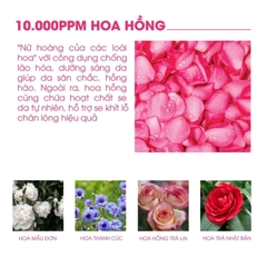 Gel dưỡng ẩm làm dịu da & phục hồi tóc mềm mượt Foodaholic Soothing Gel 300ml