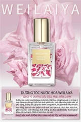 Tinh dầu dưỡng tóc WEILAIYA chiết xuất cánh hoa hồng phục hồi tóc hư tổn, giảm sơ rối, chẻ ngọn, không gây bết dính