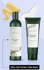 Bộ Dầu Gội Và Xả Gừng Weilaiya Hair Strength Shampoo & Conditioner