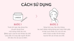 Mặt Nạ Ngủ Môi Laneige Hương Quả Mọng Lip Sleeping Mask EX [Berry]
