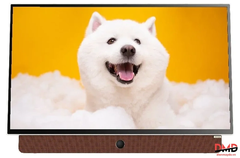 Google Tivi Coocaa di động 24 inch 24LP6000G