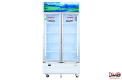 Tủ mát Sanaky 900 lít VH1009HP
