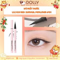 Bút Kẻ Mắt Nước Siêu Mảnh, Chống Trôi Lilybyred Am9 To Pm9 Survial Penliner - 01 Black