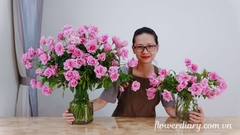 Tại sao mình bắt đầu với Flower Diary ?