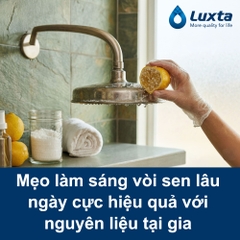 Mẹo làm sáng vòi sen lâu ngày cực hiệu quả với nguyên liệu tại gia