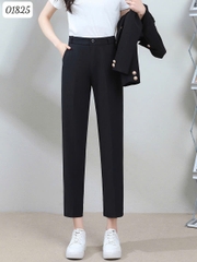 01825 - Quần 00261 Tây 9 tấc - K1825