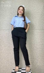 01826 - Quần tây 00234 lưng thun - K1826