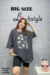 081- CB300-LỚN- 0099- A.OVS G- Xám