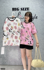 1003 A.OVS nhiều Micky 00270