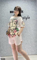 1020  Ss. DRM-DA  00342