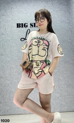 1020  Ss. DRM-DA  00342