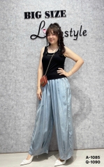 S-0020--1090 Q.Suông lai x.li 00288