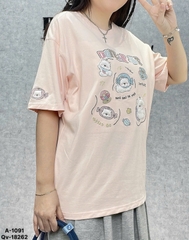 1091 A.Hình BA.JI 00288