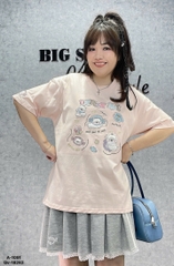 1091 A.Hình BA.JI 00288