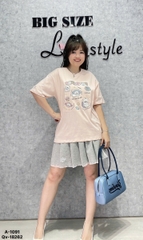 1091 A.Hình BA.JI 00288