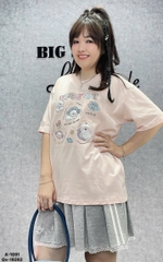 1091 A.Hình BA.JI 00288