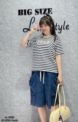 1092 A.Sọc 4 Vit- 00270