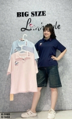 1095 A.Polo Kity 00297