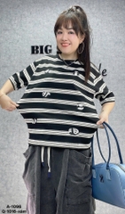 1096 A.Sọc Pan.da 00288