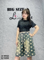 11050 - QS. Nhiều tim 00297