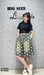 11050 - QS. Nhiều tim 00297