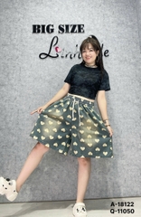 11050 - QS. Nhiều tim 00297