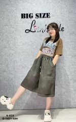 S-0020--11071 QS.LT trơn 00280