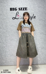 S-0020--11071 QS.LT trơn 00280