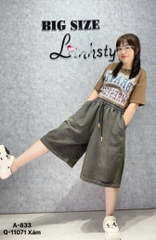 S-0020--11071 QS.LT trơn 00280