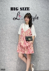 1123 Ss.2d Bi Bi 00304