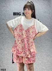 1123 Ss.2d Bi Bi 00304