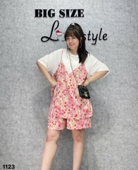 1123 Ss.2d Bi Bi 00304