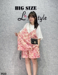 1123 Ss.2d Bi Bi 00304