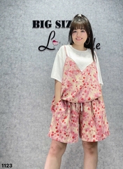 1123 Ss.2d Bi Bi 00304