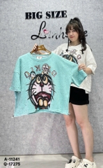 11241 A.Crop rút DRM 00270