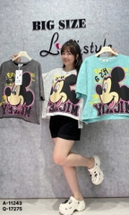 11243 A.Crop rút Micky TO 00270