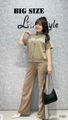 1180 SD.TN kéo sọc 00384