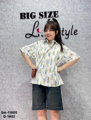 11805- Sm.dài CG- 00270