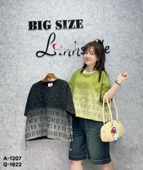 1207 A.Crop OVS Số 00270