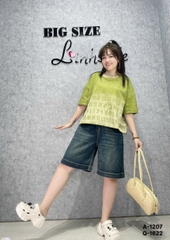 1207 A.Crop OVS Số 00270