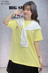 S-0030--1468 - A. kity kèm khăn TT 00210