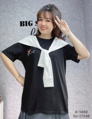 S-0030--1468 - A. kity kèm khăn TT 00210