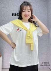 S-0030--1468 - A. kity kèm khăn TT 00210