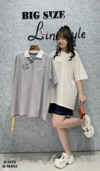 1575 A.polo TOM 00315