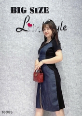 16085- Đầm Ráp kéo dài 00480